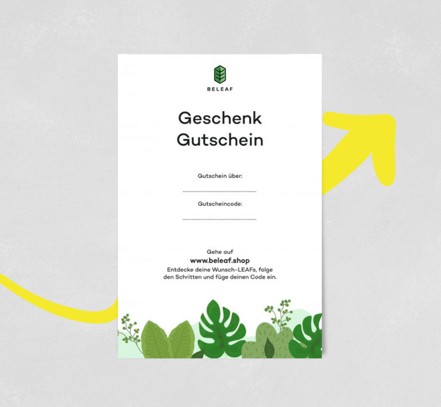 VOUCHER